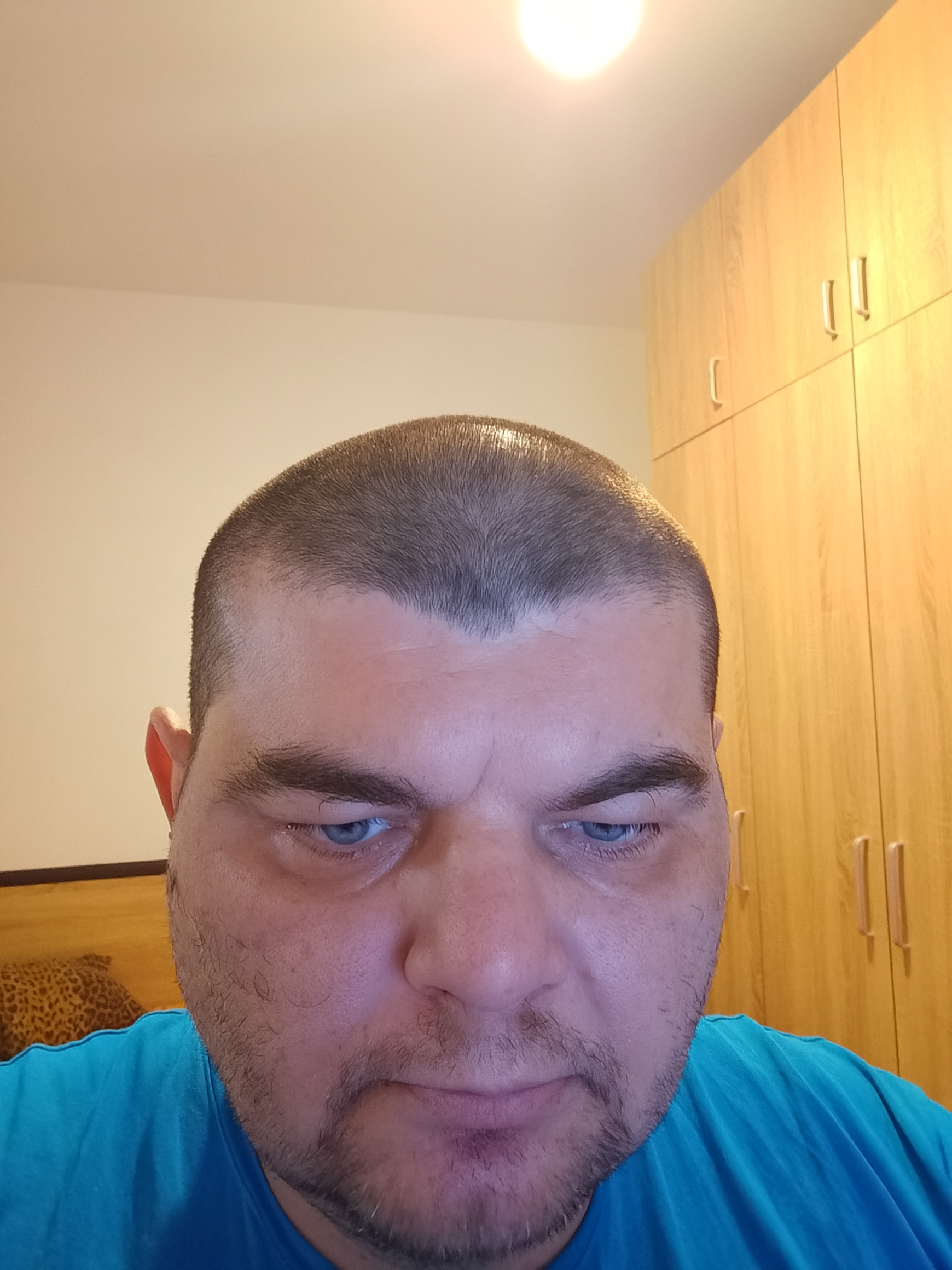 Димитър Димитров